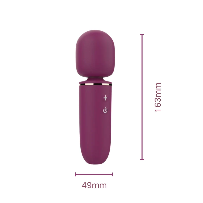 The Wand | Microphone-Style Massager